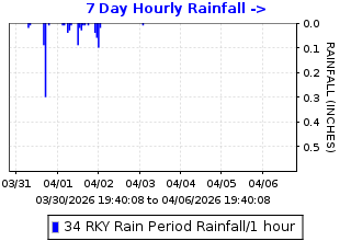 Hourly rainfall plot for Rocky Ridge