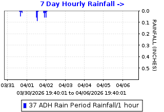Hourly rainfall plot for Arroyo Del Hambre
