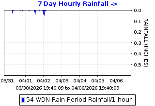 Hourly rainfall plot for Wiedemann Hill